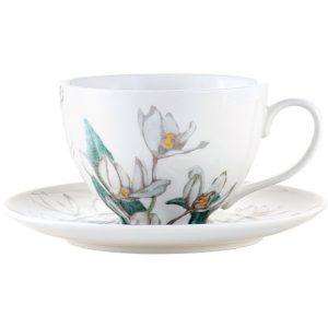 Royal Botanic Gardens Australian Orchids Cup And Saucer