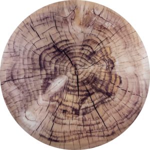 Enchanted Woods Round Glass Cutting Board, 25cm