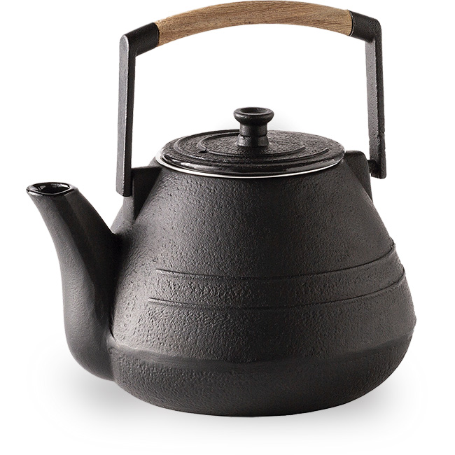 Magma Cast Iron Tetsubin teapot With Infuser, 1L