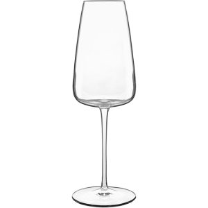 Talismano 400ml Champagne Glasses, Set of 4